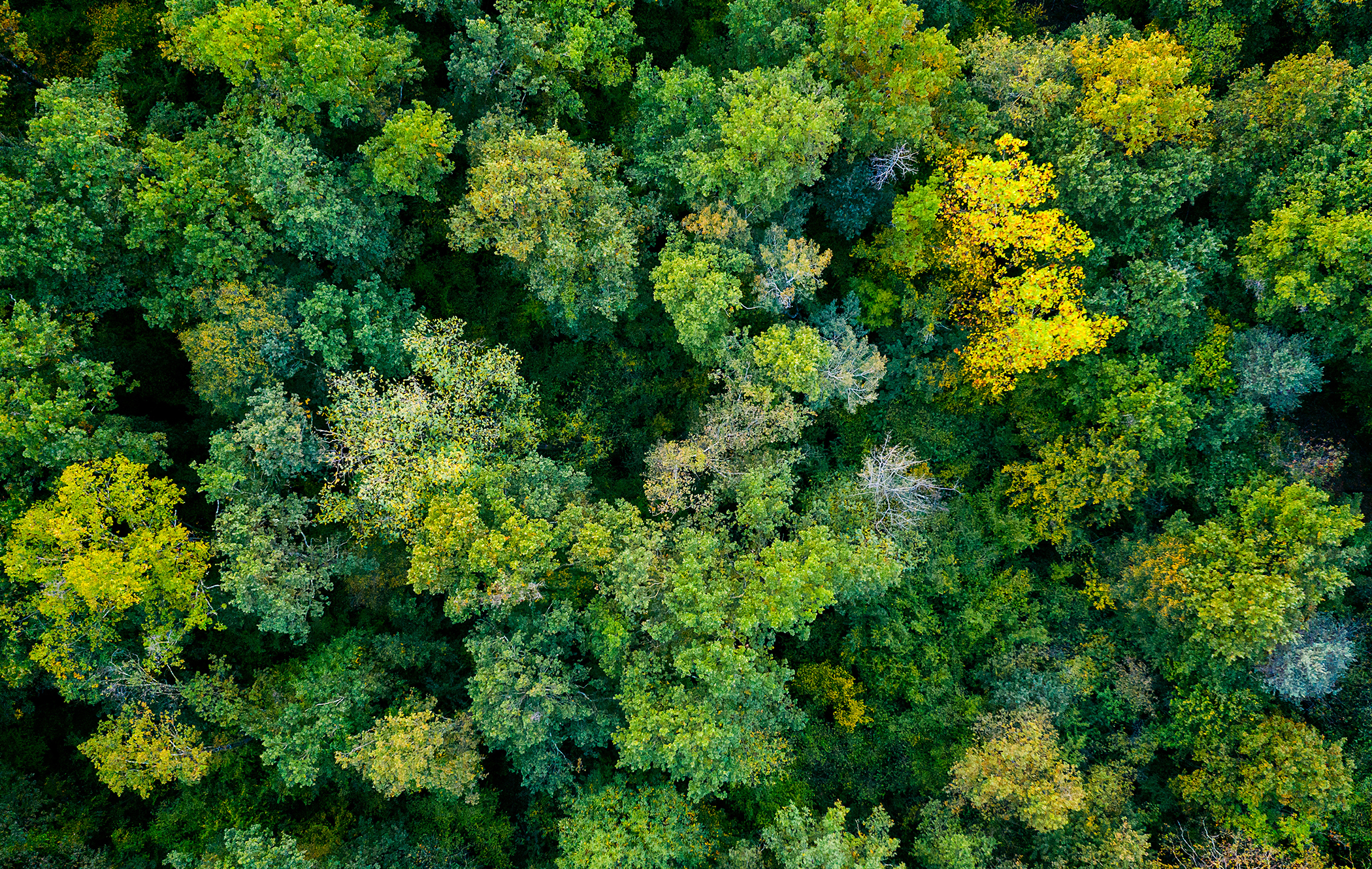 A sustainable approach